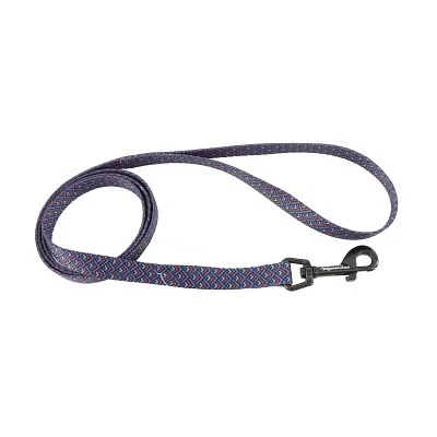 Dog Leash