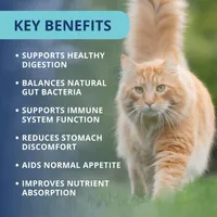 Under the Weather - Cat Supplement - Probiotic Soft Chews