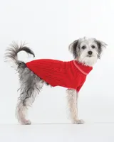 Fashion Pet - Dog Sweater