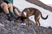 Ruffwear - Quencher Packable Pet Bowl - Mount Bailey