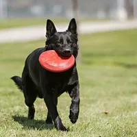 KONG - Dog Toy - Flyer Frisbee