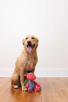 Huxley & Kent - Dog Toy - Fireball Dragon