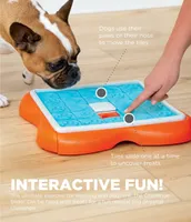Nina Ottosson - Dog Puzzle Toy - Challenge Slider Level 3