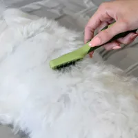 Safari - Dog Brush - Mat Remover