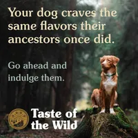 Taste of the Wild - Dog Food - Ancient Grains Stream with Smoked Salmon