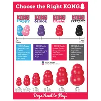 KONG - Dog Toy