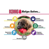 KONG - Dog Toy