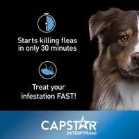 CAPSTAR - Oral Flea Treatment