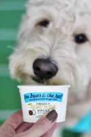 Bear & Rat - Dog & Cat Treat - Goat Milk Coconut Frozen Yogurt