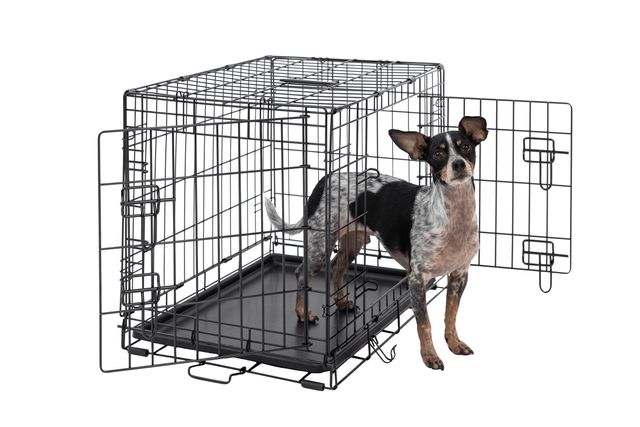 Dog Crate