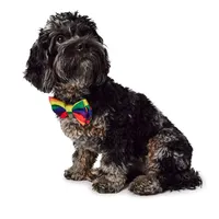 Hotel Doggy - Pet Bow Tie - Rainbow