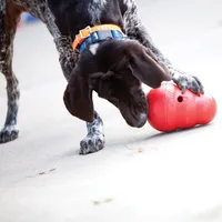 KONG - Wobbler® Interactive Feeder & Treat Dispenser