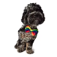 Hotel Doggy - Pet Bow Tie - Rainbow