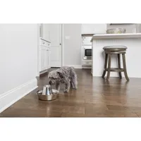 PetSafe - Seaside Stainless Pet Fountain