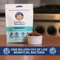 Under the Weather - Cat Supplement - Probiotic Soft Chews