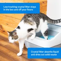 PetSafe - Cat Litter - Crystal Litter - 2 Pack