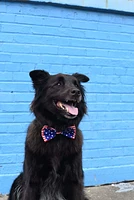 Huxley & Kent - Bow Tie - Liberty