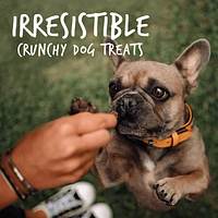 Fruitables - Dog Treats - Rotisserie Chicken