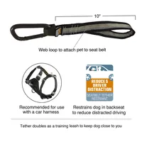 Kurgo - Seat Belt Loop - Grey