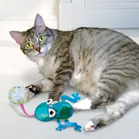 KONG - Cat Toy - Flingaroo™ Frog