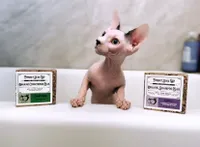 Project Sudz - Organic Pet Shampoo Bar - Flea & Tick Relief