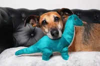 Fluff & Tuff - Plush Dog Toy - Ross Brachiosaurus