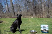 Tucker's - Freeze Dried Dog Food - Pork,  Bison,  & Pumpkin