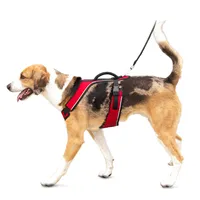 PetSafe - EasySport Harness