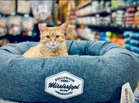 Donut Dog Bed - Blue Cotton