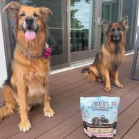 Tucker's - Freeze Dried Dog Food - Pork,  Beef,  & Pumpkin