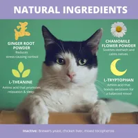 Under the Weather - Cat Supplement - Calming Powder for Cats