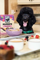 Wet Noses - Dog Treats - Moments Peanut Butter Berry Cupcake & Donut Recipe