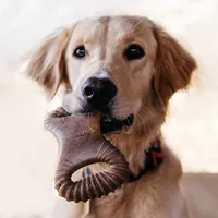 Benebone - Dog Chew Toy - Dental Chew