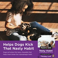 Nutri-Vet - Nasty Habit Chewables for Dogs