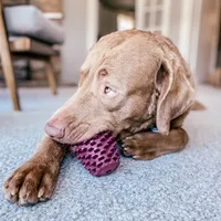 Tall Tails - Dog Toy - Rubber Pinecone