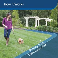 PetSafe - In-Ground Fence & Collar