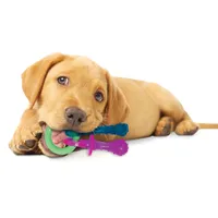 Nylabone - Dog Toy - Puppy Teething Pacifier