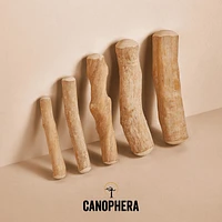 Canophera - Dog Chew