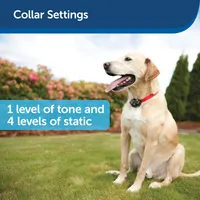 PetSafe - In-Ground Fence & Collar