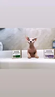 Project Sudz - Organic Pet Shampoo - Hypoallergenic Shampoo