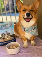 Tucker's - Freeze Dried Dog Food - Pork,  Bison,  & Pumpkin