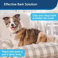 PetSafe - Spray Bark Collar