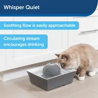 Drinkwell - Seascape Pet Fountain - Automatic Waterer