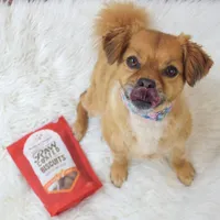 Stella & Chewy's - Dog Treats - Raw Coated Biscuits