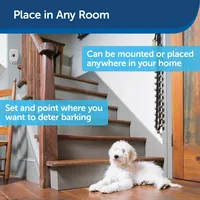 PetSafe - Indoor Bark Control