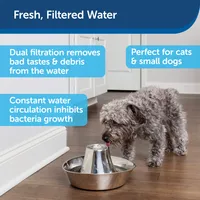 PetSafe - Seaside Stainless Pet Fountain