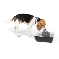 Drinkwell - Seascape Pet Fountain - Automatic Waterer