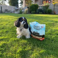 Tucker's - Freeze Dried Dog Food - Pork,  Lamb,  & Pumpkin