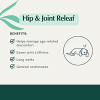 Pet Releaf - Hemp Extract Edibites - Hip & Joint Releaf Peanut Butter & Banana Family Pack