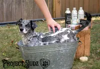 Project Sudz - Organic Dog Shampoo Bar - Moisturizing Cedarwood